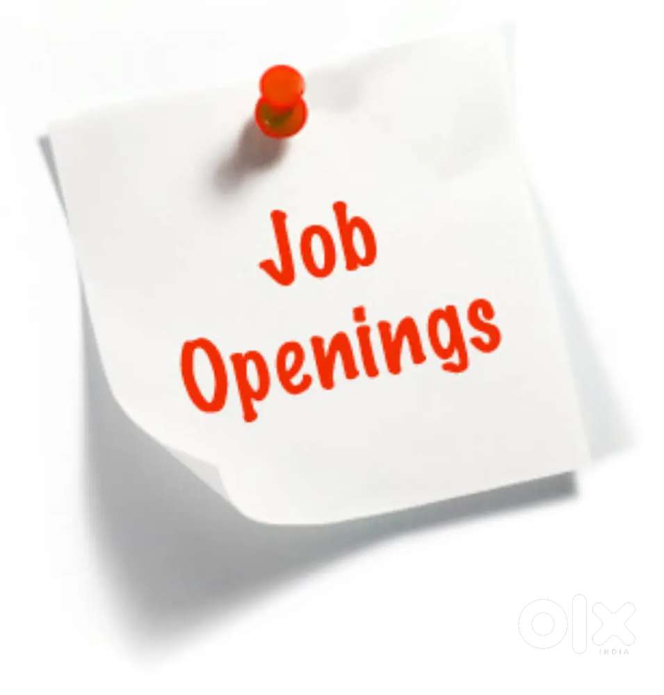 Fresher experience sales staff job