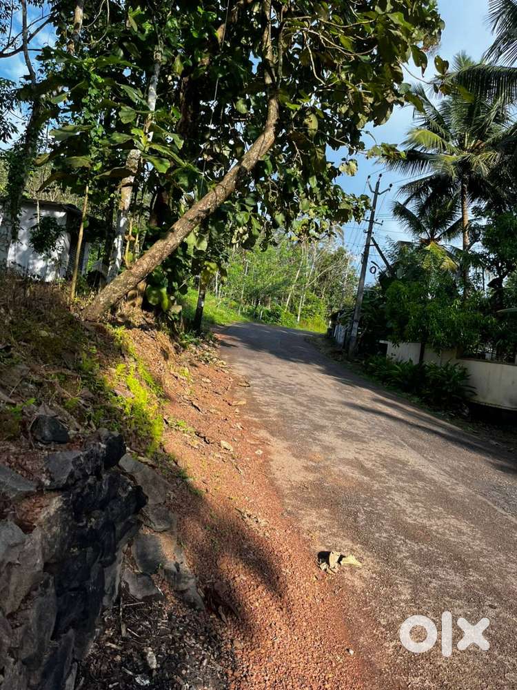 plot for sale @ ithithanam