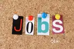 ESSAY WORK VACANCY