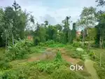 Sale Land Near National Highway