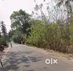 70 cent orginal land sale per cent 6 lakhs  muhamma boat  jetty road