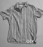 Regular Fit Textured Half Sleeve Shirt