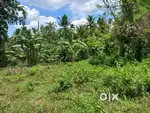 Main Road Side Land/Plot For Sale