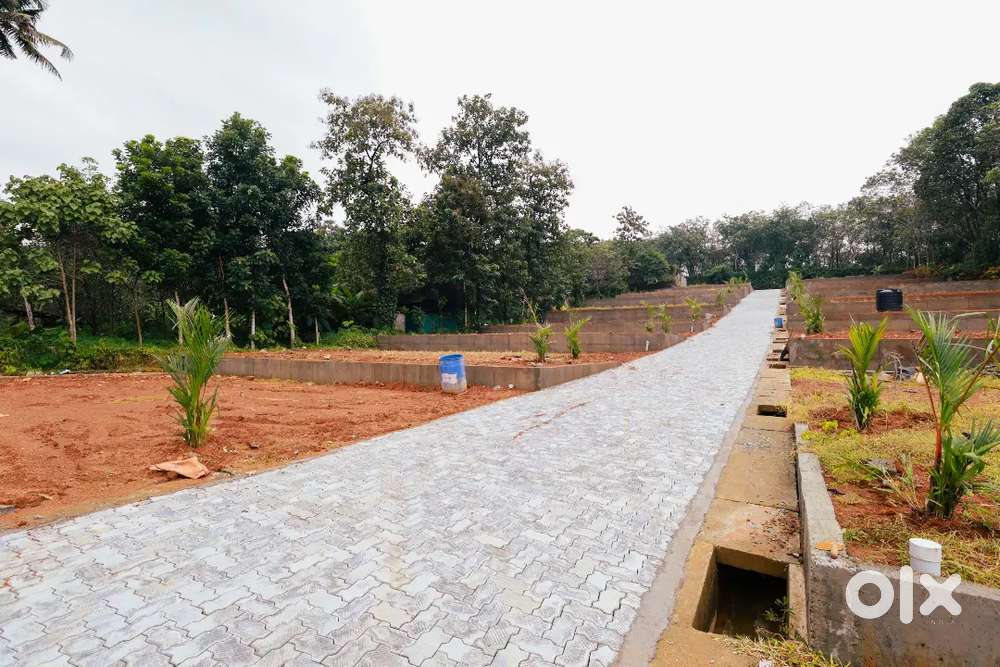 4,5,6,7, 10cent house plot near kizhakkabalam vengola busroot 200mt