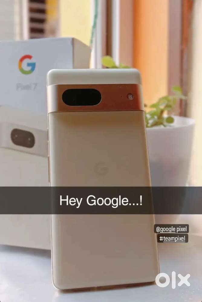 Google Pixel 7Excellent ConditionIncludes Box + charger + back cover