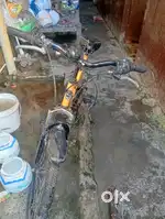 Hippo cycle good condition all ok
