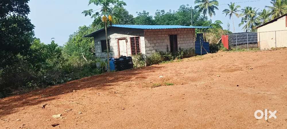 plot for urgent sale