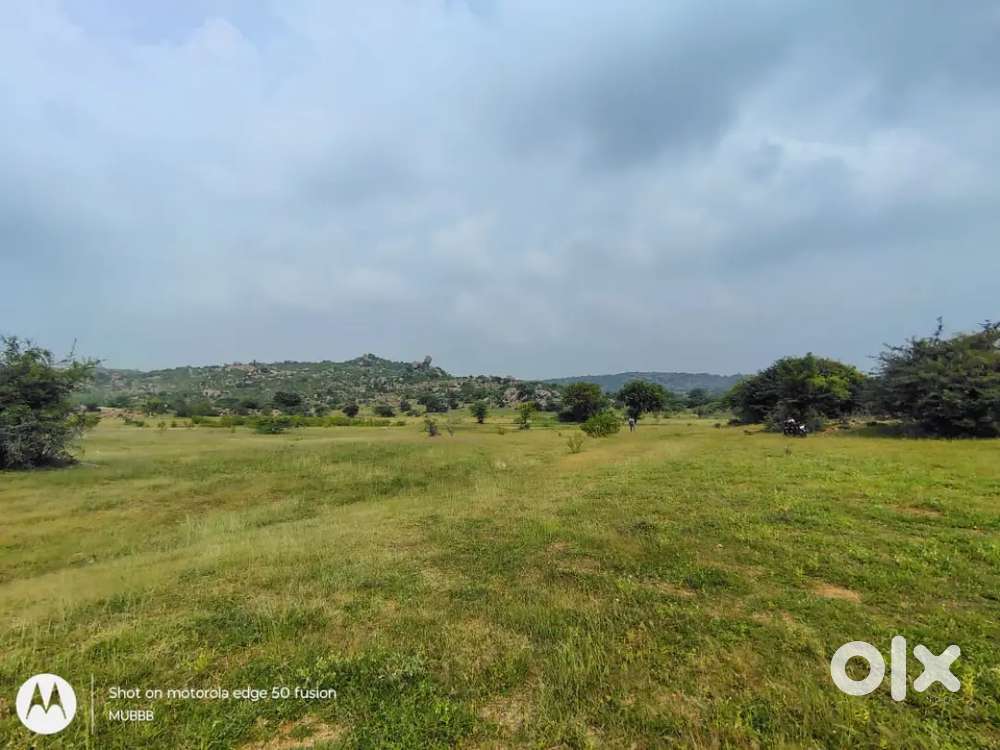 An agriculture land of 8 acres 12 gunte is for sale.per acre 10 lakh