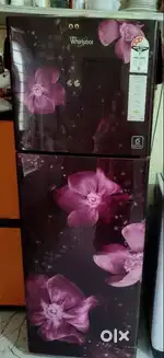 Whirlpool Double Door Refrigerator – 265 Ltr (2019 Model)