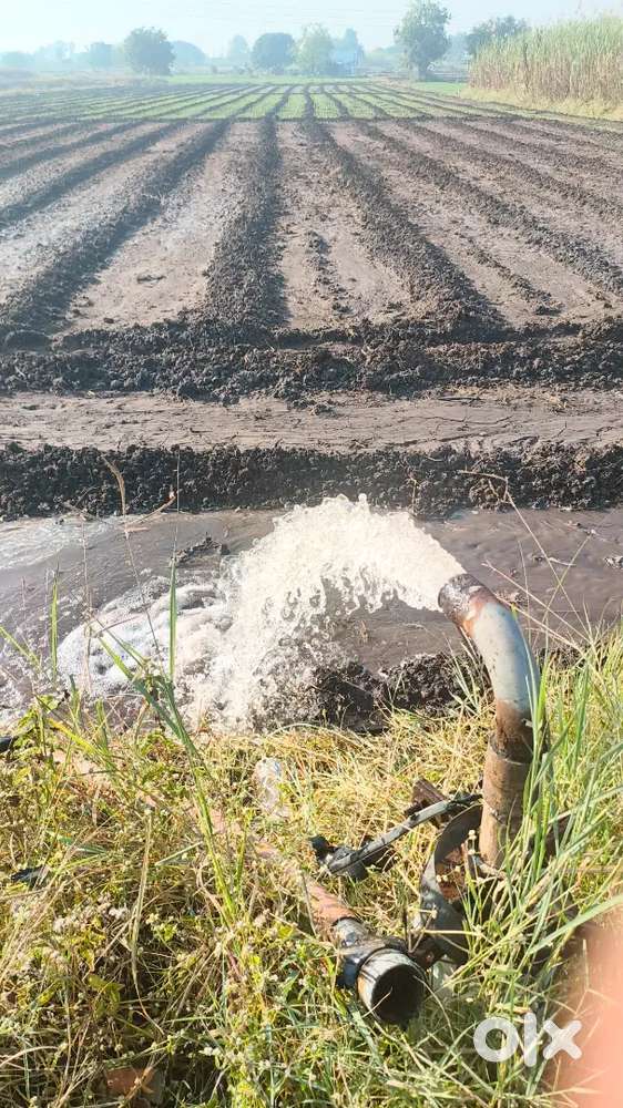 Agriculture Land @Just 25L Per Acre