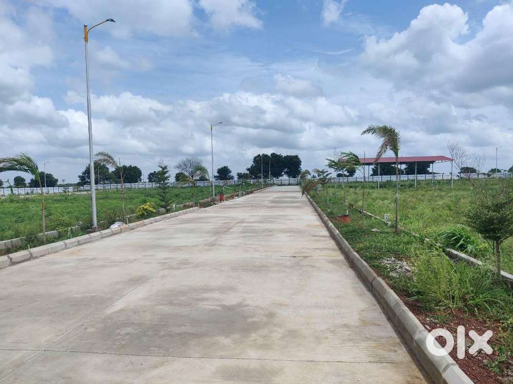 Immediate Registration and Construction