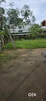 ഇരിഞ്ഞാലക്കുട സിവിൽ സ്റ്റേഷൻ അടുത്ത് 31 സെന്റ് Commercial Plot