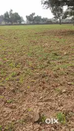 2 acre Land Mundra Gadhidham Road Kutch