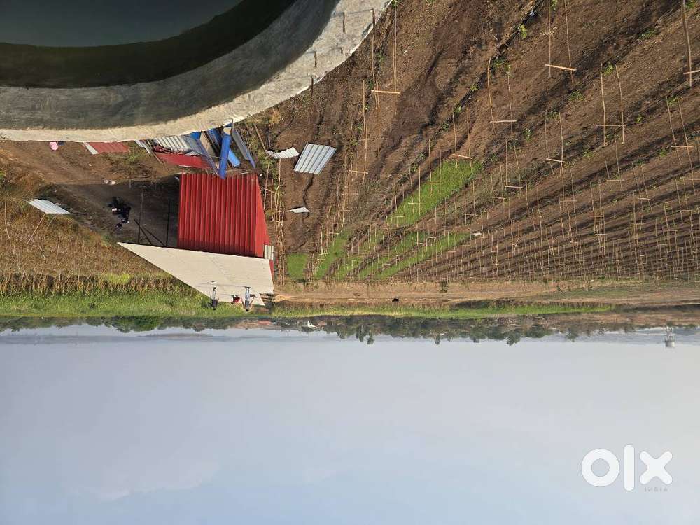 Agricultural Land available for long lease