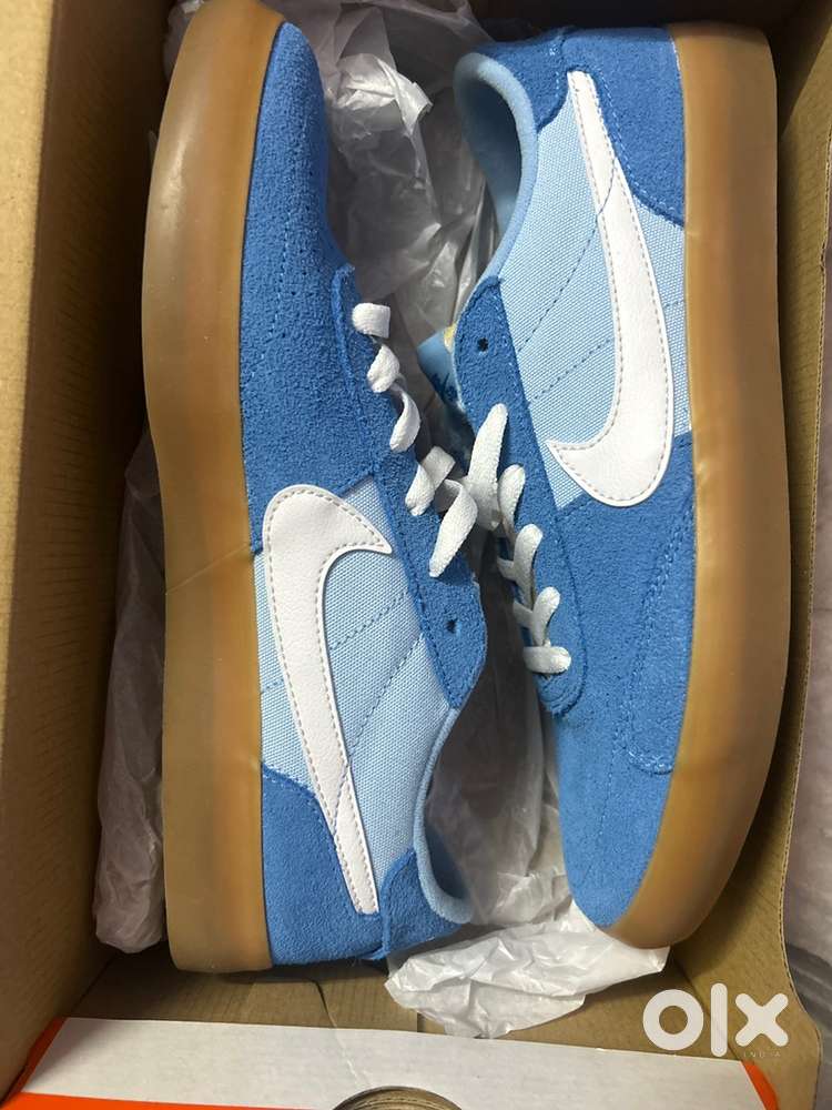 Nike SB heritage shoes