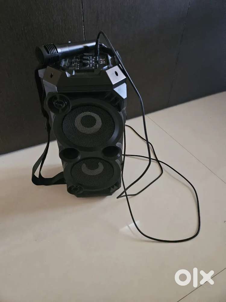 Karokae speaker with mike