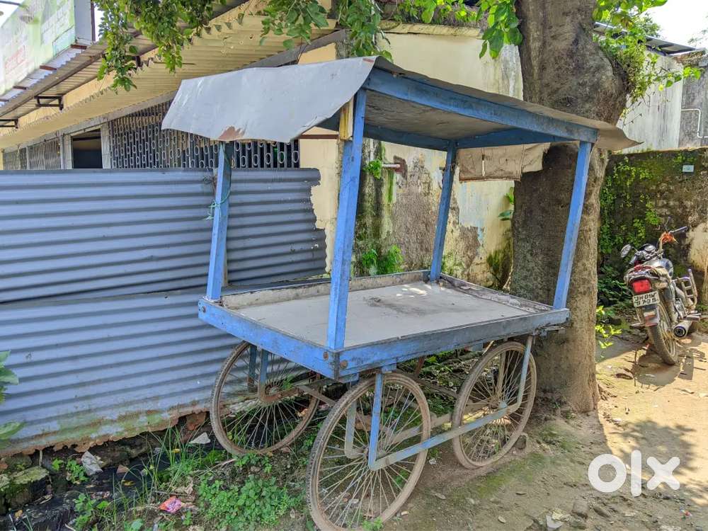 ठेला शॉप खोलना चाहते हो तो अच्छा है शॉप के लिए आपके बजट में