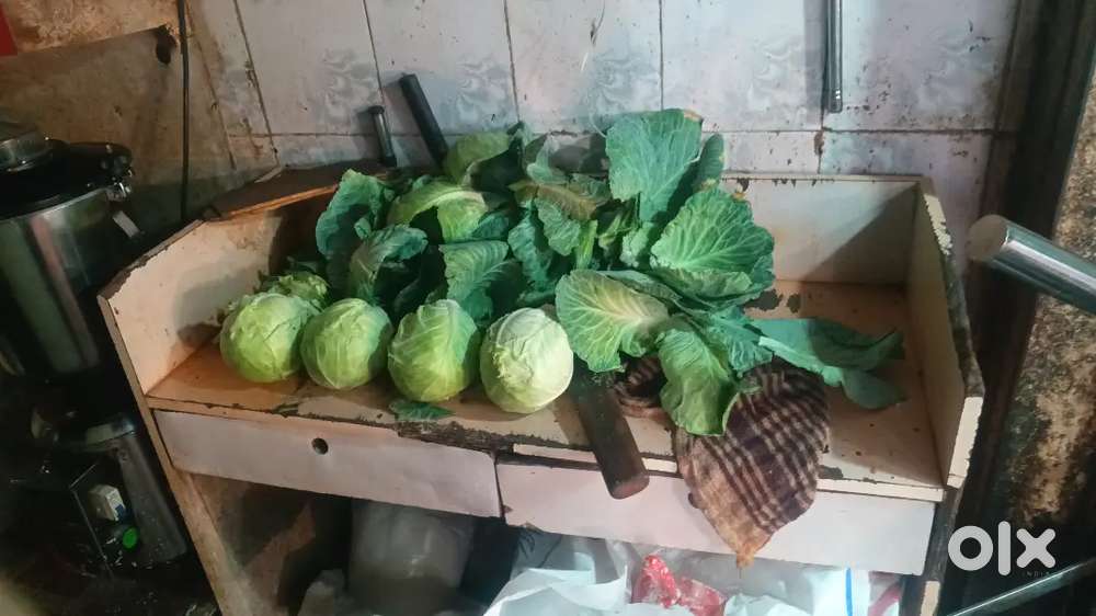 manchurian shop helper