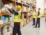 Egmore/Need immediate Joiner for Night shift loaders