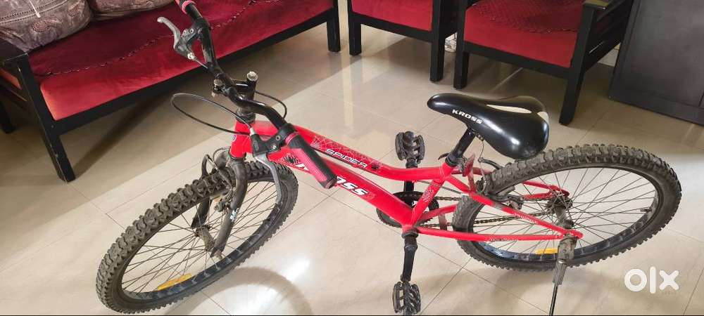 Bicycle  SPIDER KROSS