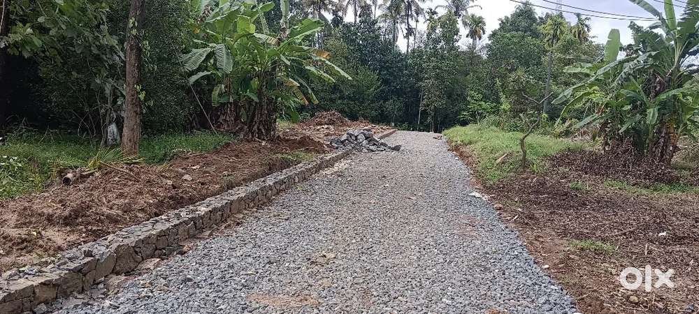 ANGAMALY TOWN 1KM 5,6,8, 10 CENT PLOTS AVAILABLE