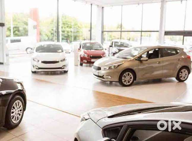Male & Female Sales Executive Staff at Car Showroom