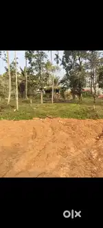 TOWN Empty 10 cent property for lease in sulthan bathery