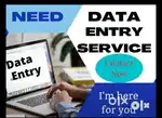 Data entry operator document verification work
