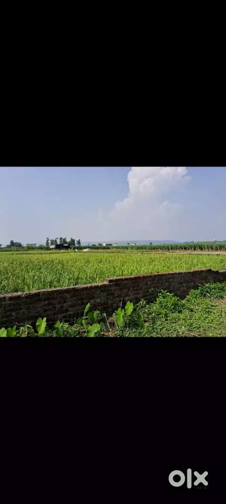 Plot for sale Dudhli road
