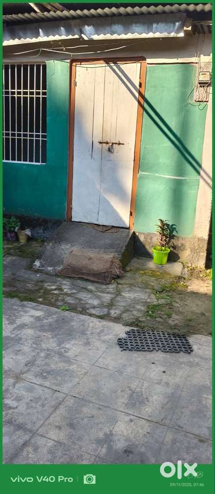 Rent house in Jamugurihat(Tezpur,Sonitpur)