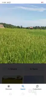 Sunitadevi k nam se