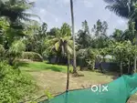 Plot for sale