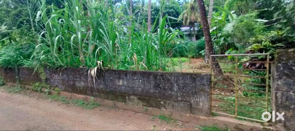 Residential Land-13 cent for sale in Viyyur, near highway, Thrissur.