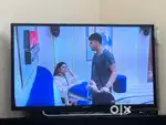 Sony bravia 43 inch