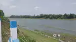 Resort location 6 bigha N.A River view land 800 mtr from nh 48 Navsari