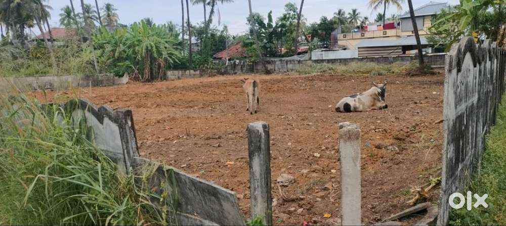 Residential plots-7 cents for sale in Chungam, westFort. Thrissur