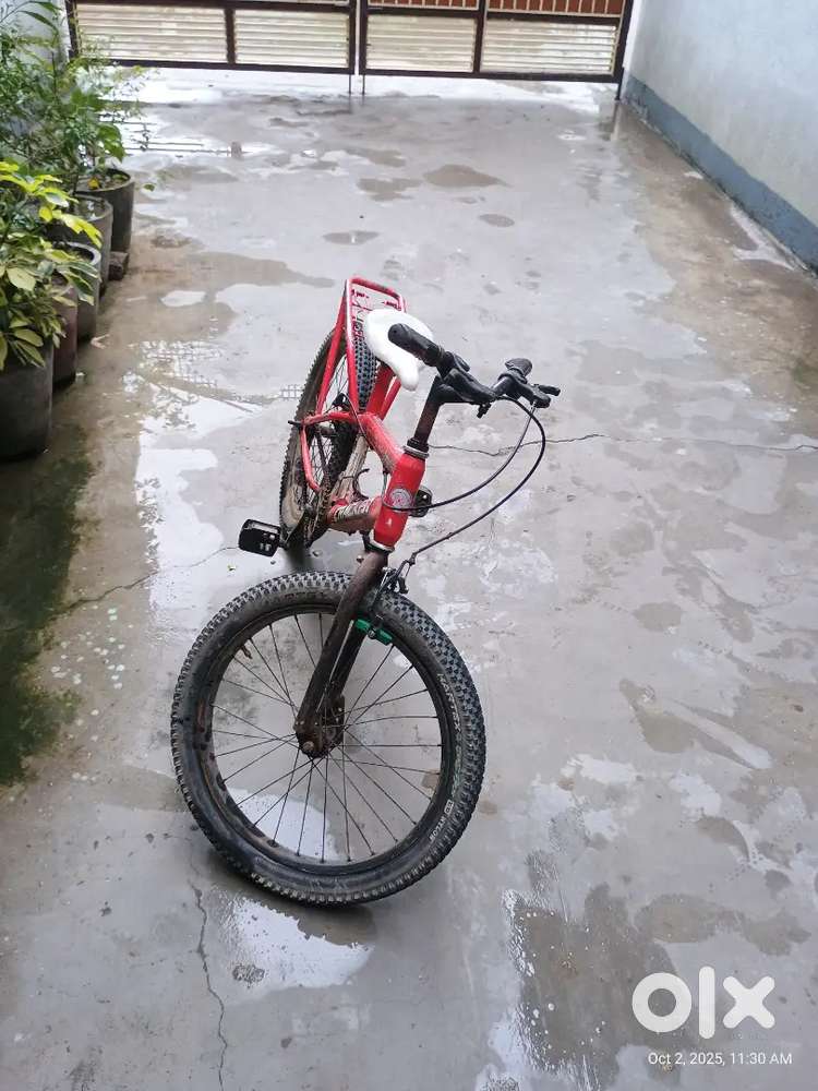 Only 1 year use