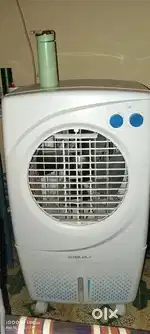 Bajaj Cooler 36 L