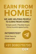 Earn from Home