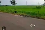 गोरधनपुरा कॉर्नर जमीन 4 बीघा