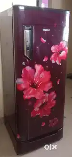 Fridge 5 star worlful model 71268