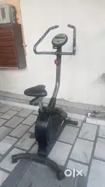 Comercial upright bike