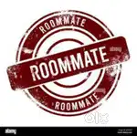 Room mate for 2bhk (only boys)