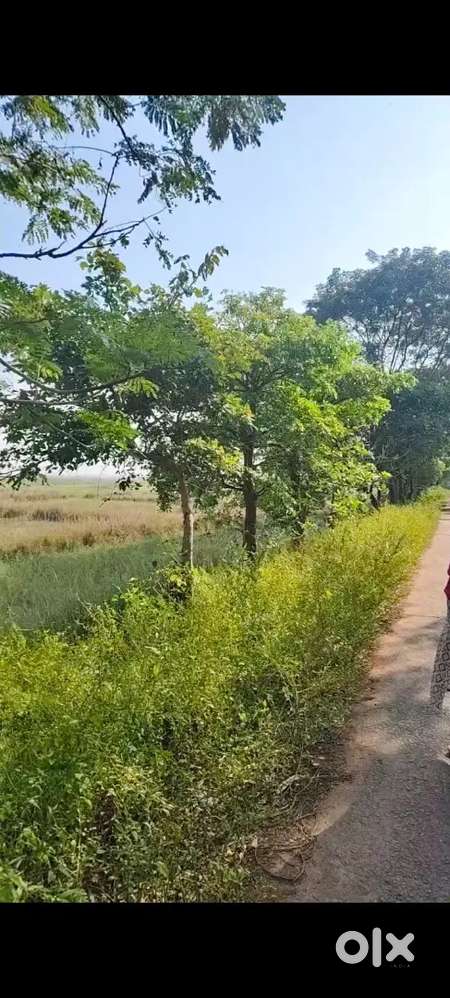 Investment plots sale