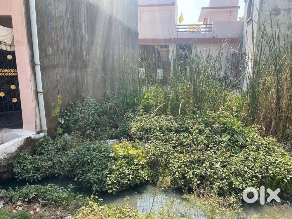 450 north facing plot