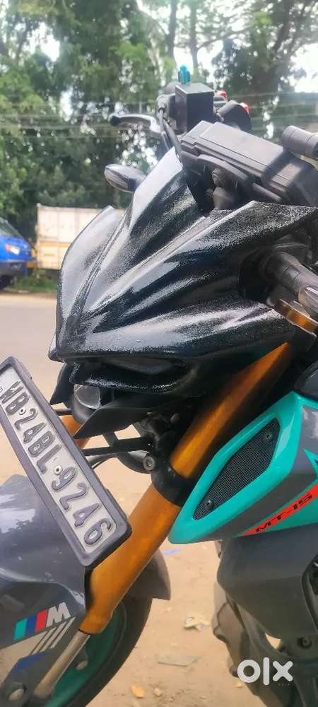 Mt 15 accessories (wild mask)
