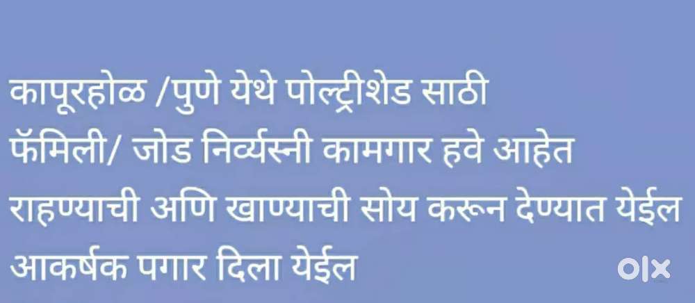 वर्कर चाहिए