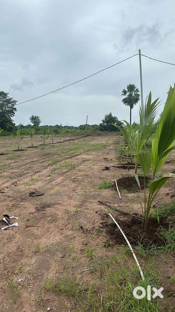 10 acres NALA land for sale near hyderabad