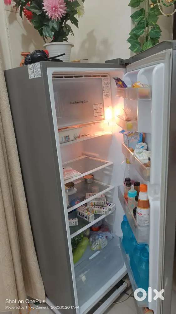 Fridge 3 years old with Bill