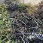 Wiring purchasing all types of